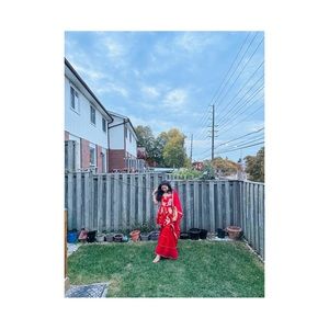 Beautiful Red indian dress